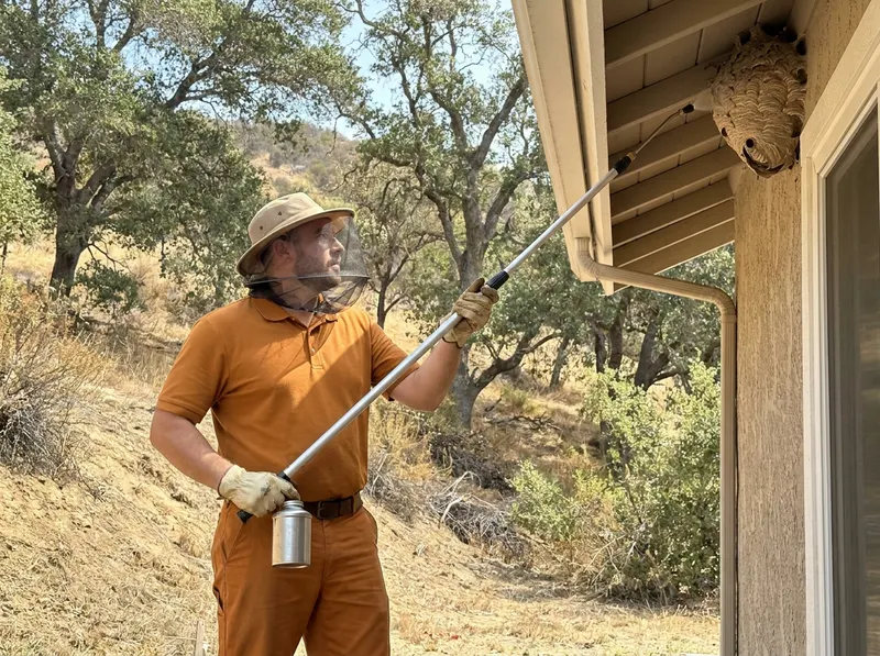 Wasp and Yellowjacket Nest Removal in Agoura Hills, CA